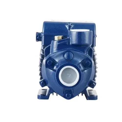 Pumps Surface Water Pump - 0.5hp - Image 2